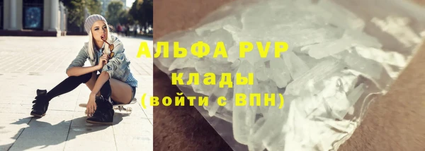 индика Алексин