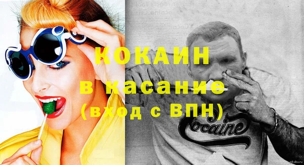 индика Алексин