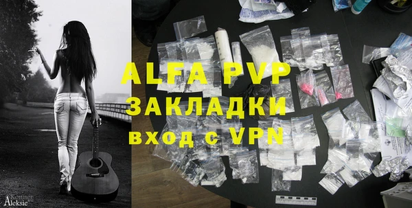 индика Алексин