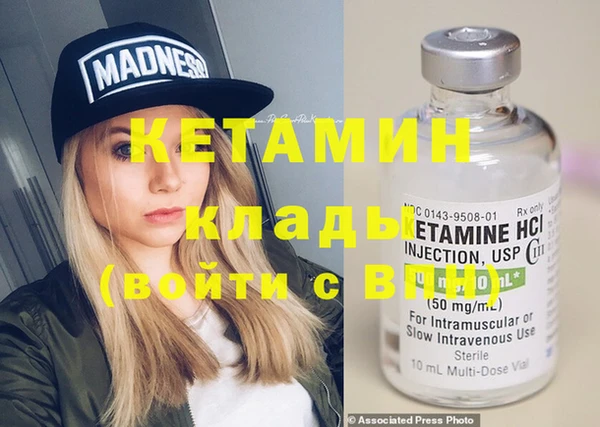 индика Алексин