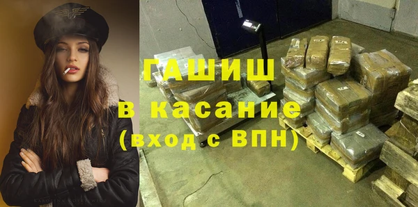 индика Алексин