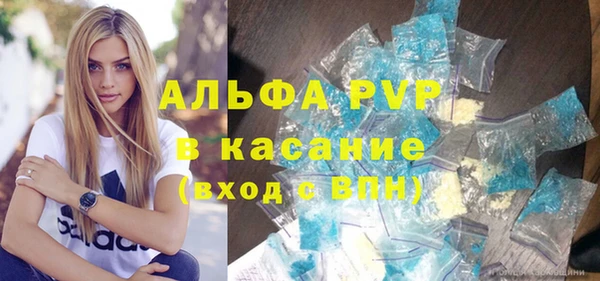 индика Алексин
