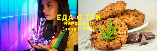 индика Алексин