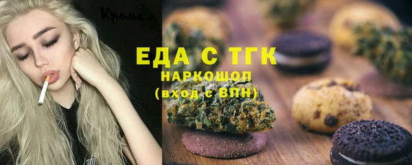 индика Алексин