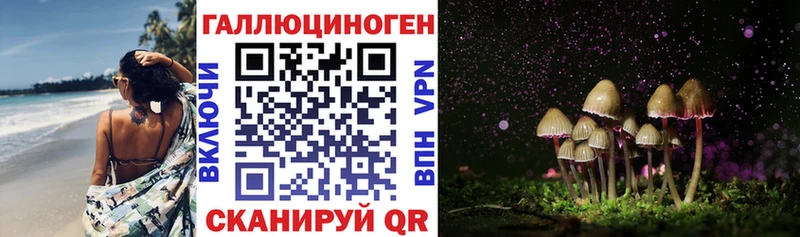 Галлюциногенные грибы Psilocybe  Анива 